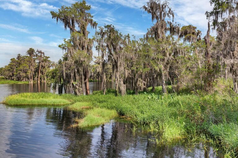 Katie-dodd-Clermont-Real-Estate-Clermont-realtor Katie dodd Clermont Real Estate Clermont realtor
